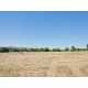 Properties for Sale_COUNTRY HOUSE TO RESTORE FOR SALE IN MARCHE Farmhouse with land in Italy in Le Marche_6